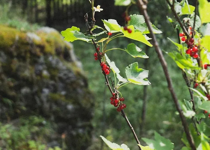 Waterfall Retreat Feriehus *